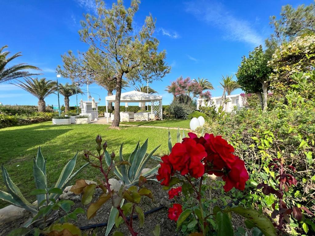 Hotel Parco Delle Rose Silvi Marina Exterior foto